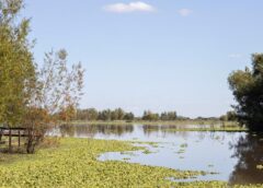 Propuestas para disfrutar la temporada de otoño en Moreno